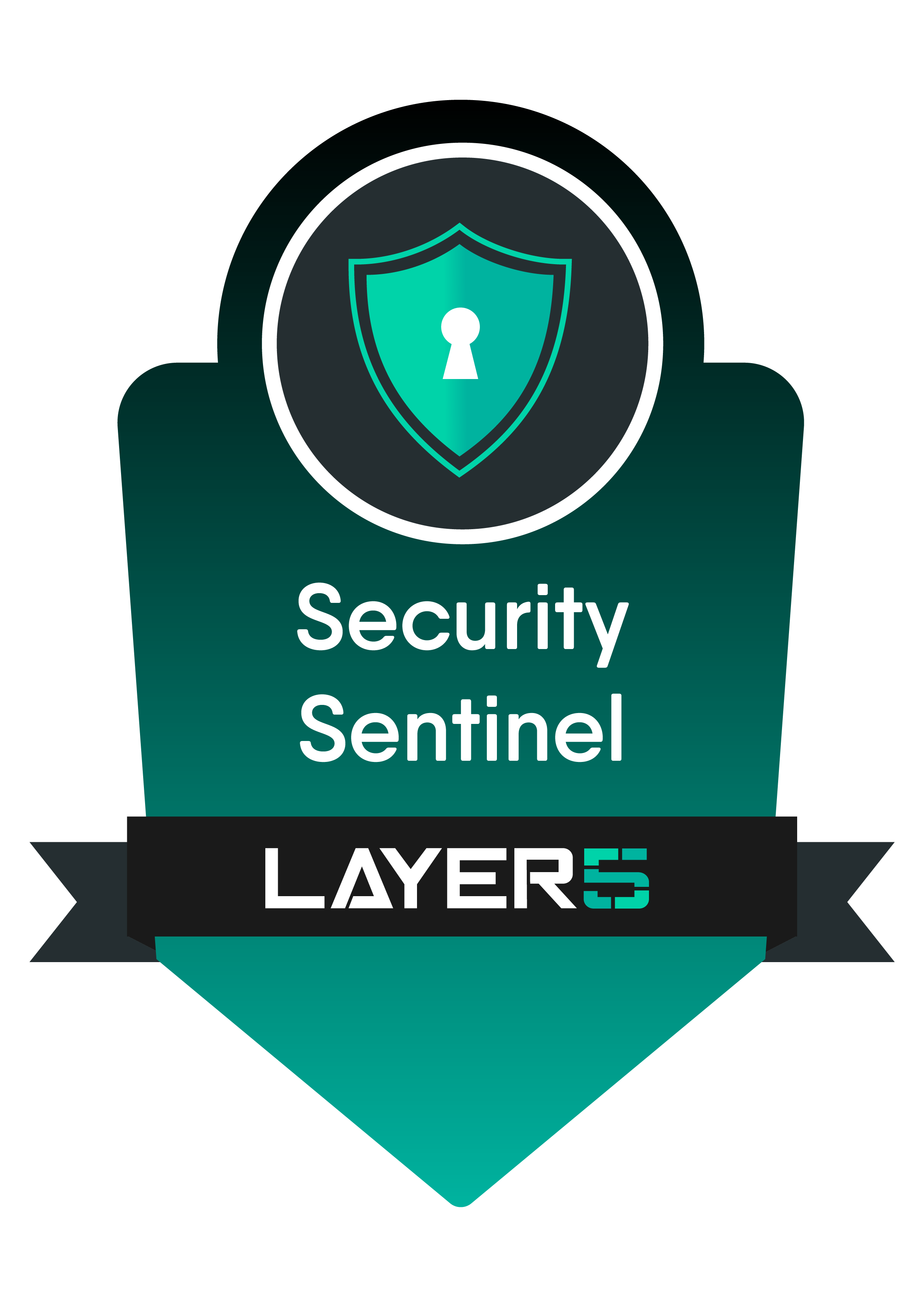 Security Sentinel